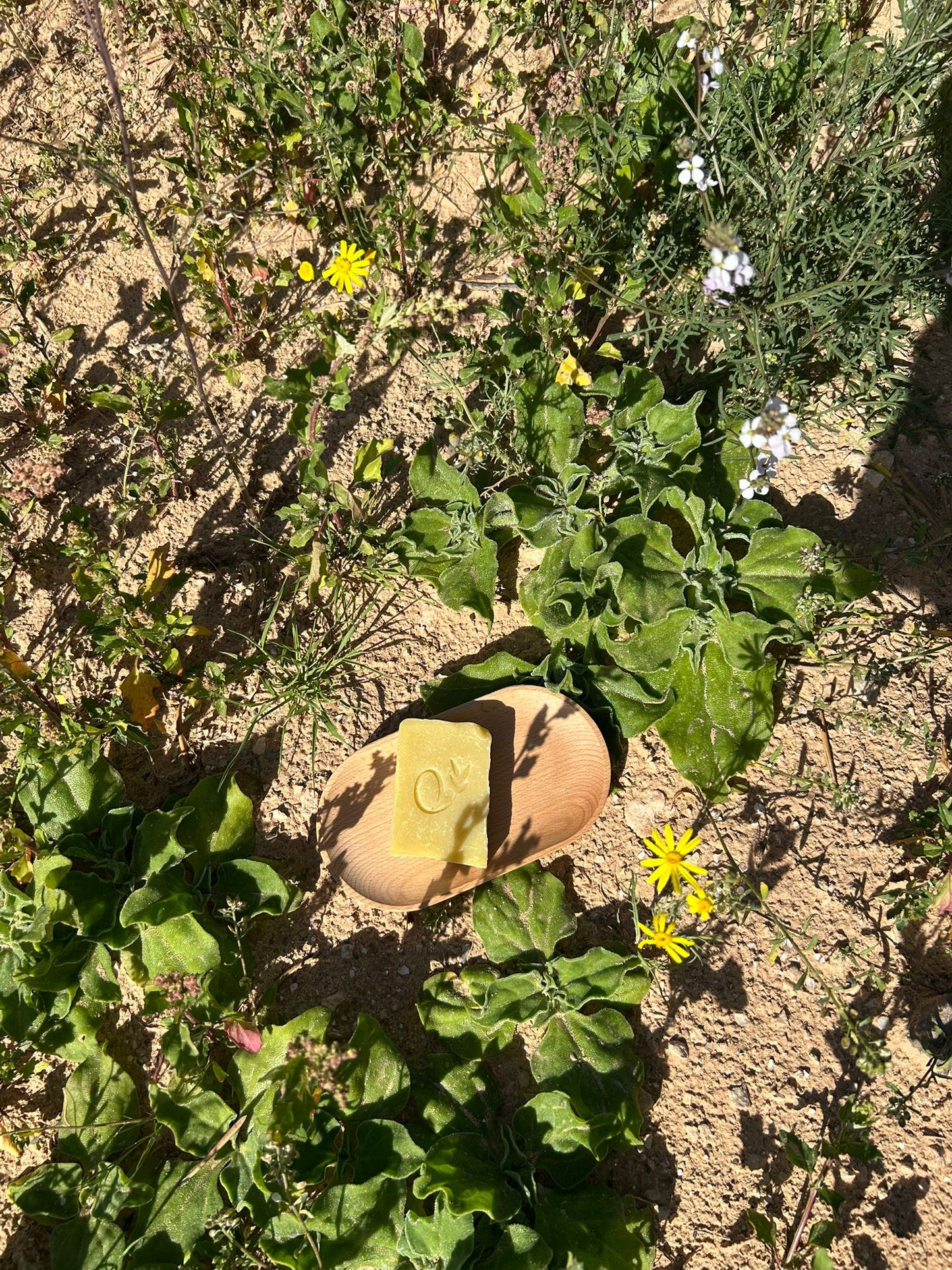 Savon à l'huile d’olive, huile de coco et huile de ricin
