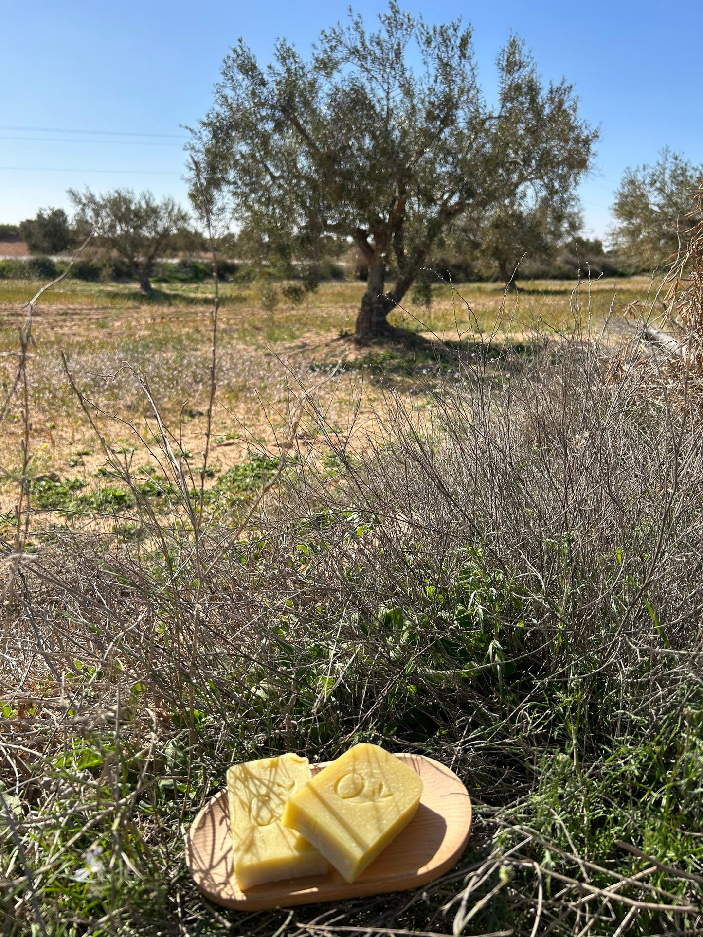 Savon à l'huile d’olive, huile de coco et huile de ricin